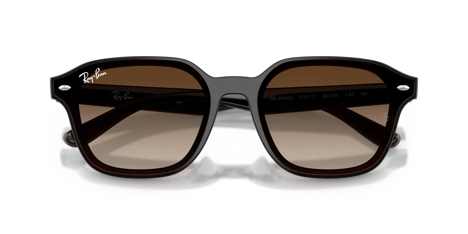 Ray-Ban 4458D Sunglasses - view 23